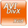 AVI, DivX and Xvid
