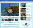 Xilisoft Video Cutter