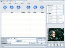 Imtoo Video Converter Free Download