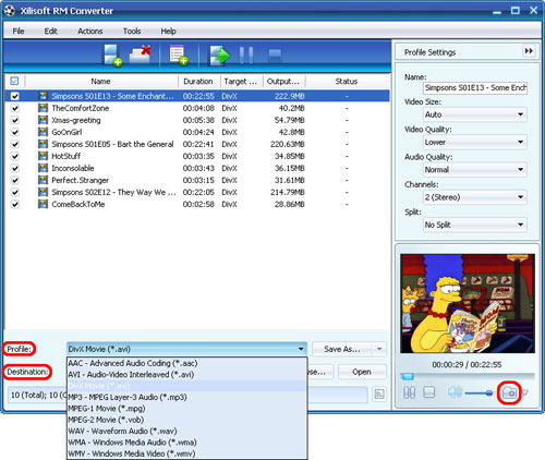 RM to WMV converter