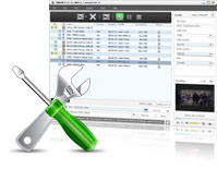 Convert FLV to MPEG1, FLV to MPEG2
