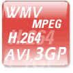 Video formats, wmv, mpeg1/2, avi, divx, 3gpp and etc.